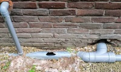 Drain Pipe Repair in London