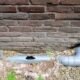 Drain Pipe Repair in London