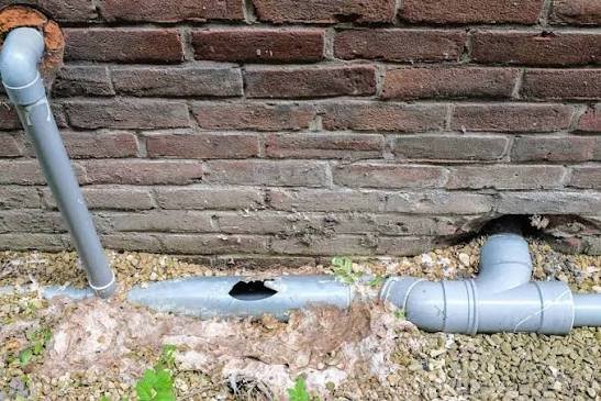 Drain Pipe Repair in London